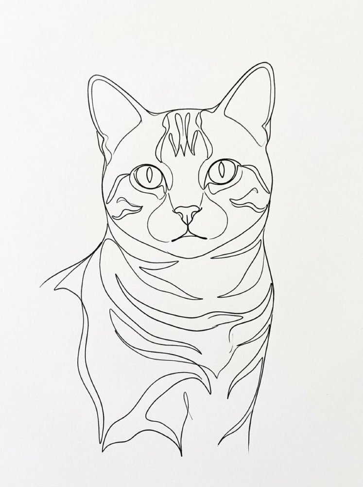 Minimal Line Art portrait of a tabby cat