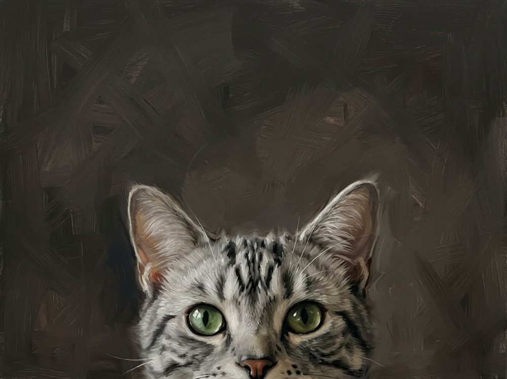 Peekaboo Kitty landscape portrait of a tabby cat