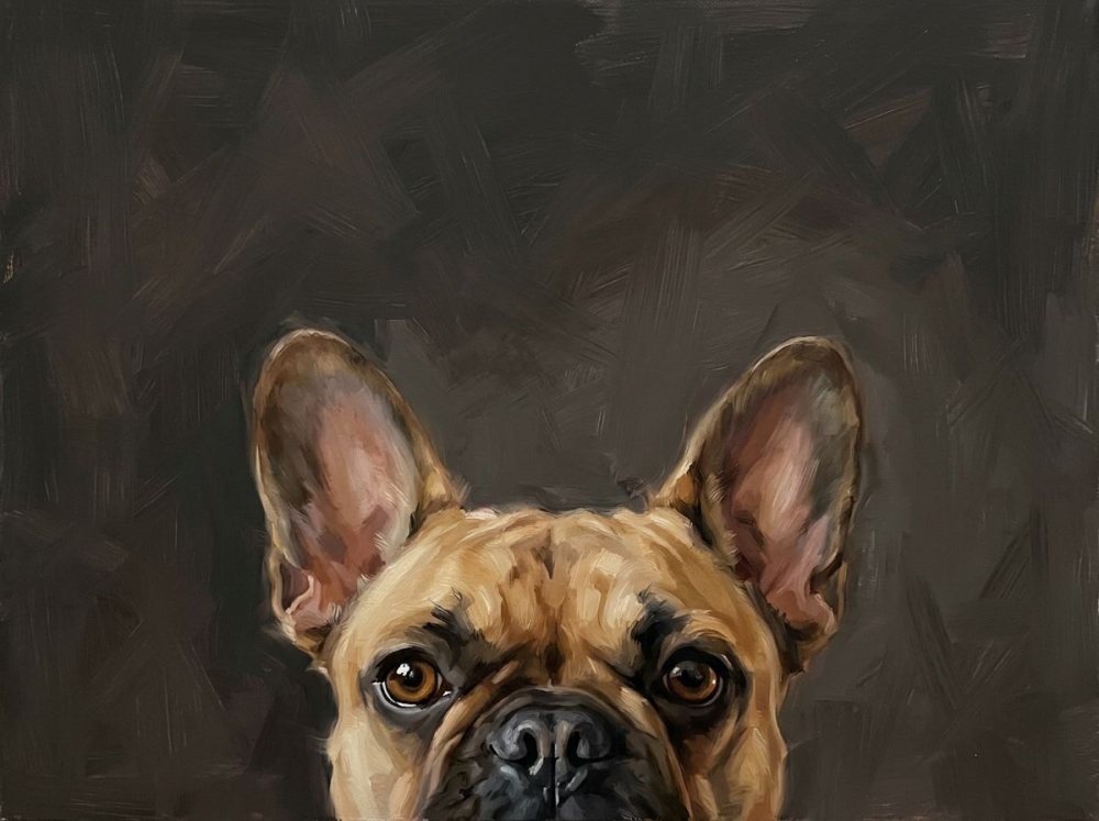 Peekaboo landscape portrait of a french bulldog